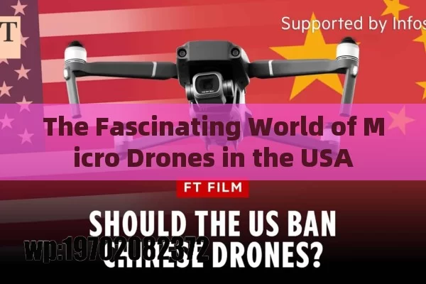 The Fascinating World of Micro Drones in the USA