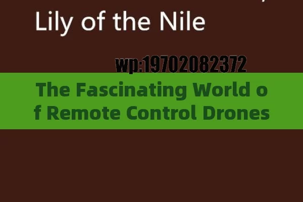 The Fascinating World of Remote Control Drones in the US