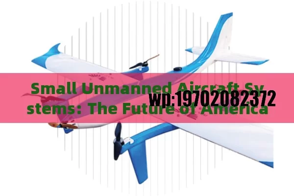 Small Unmanned Aircraft Systems: The Future of American Skies